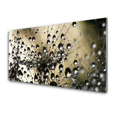 Quadro de vidro Planta dente-de-leão