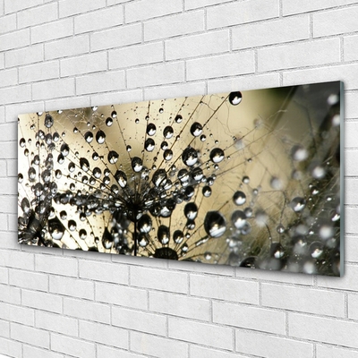 Quadro de vidro Planta dente-de-leão