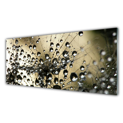 Quadro de vidro Planta dente-de-leão