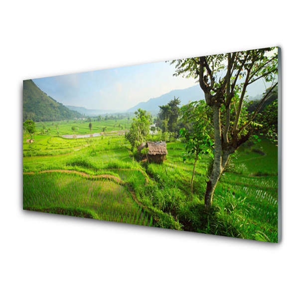 Pintura em vidro Prado da Natureza