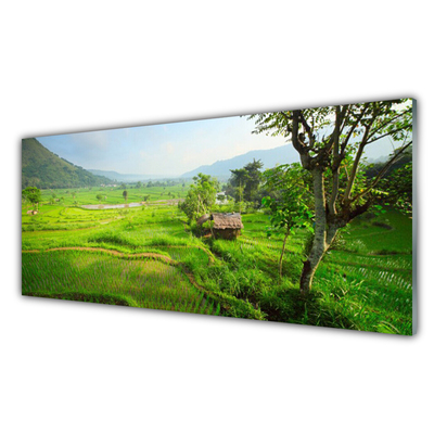 Pintura em vidro Prado da Natureza