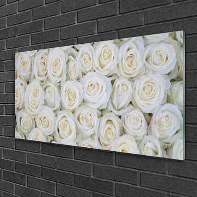 Quadro de vidro Planta de flores rosas
