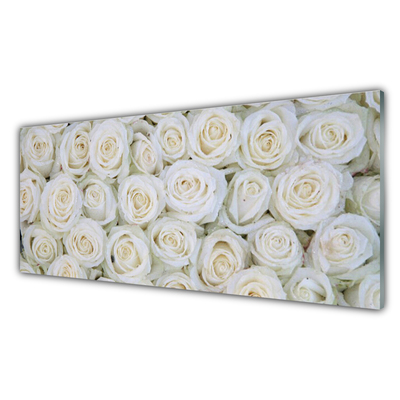 Quadro de vidro Planta de flores rosas