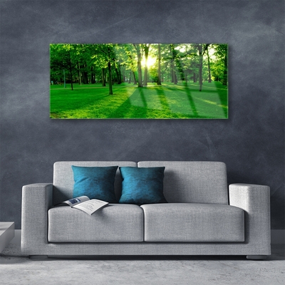 Quadro de vidro Parque Florestal Natureza