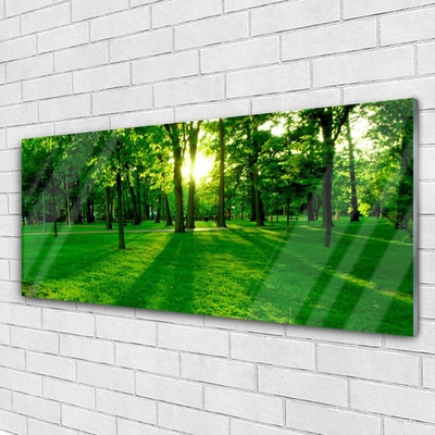 Quadro de vidro Parque Florestal Natureza