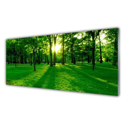 Quadro de vidro Parque Florestal Natureza