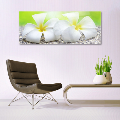 Pintura em vidro Flores Planta Natureza