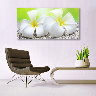 Pintura em vidro Flores Planta Natureza