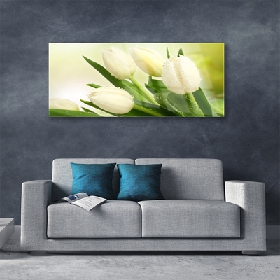 Quadro de vidro Tulipas Flores Planta