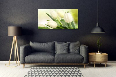 Quadro de vidro Tulipas Flores Planta