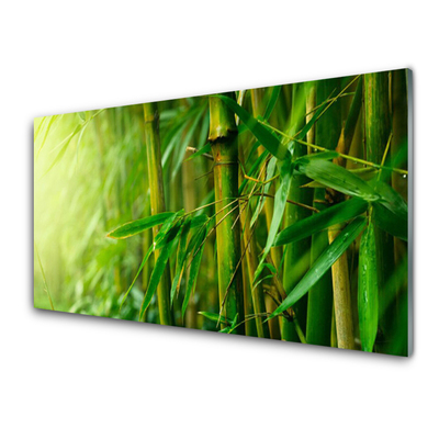 Quadro de vidro Planta de caule de bambu