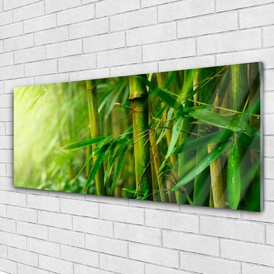 Quadro de vidro Planta de caule de bambu