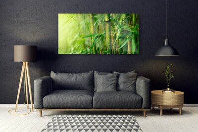 Quadro de vidro Planta de caule de bambu
