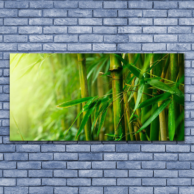 Quadro de vidro Planta de caule de bambu