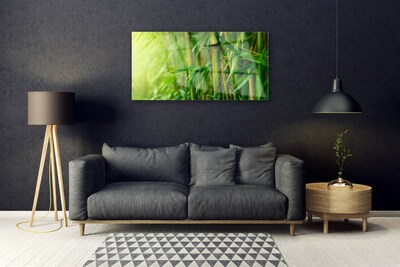 Quadro de vidro Planta de caule de bambu