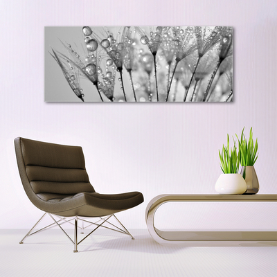 Quadro de vidro Planta dente-de-leão