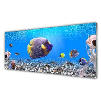 Pintura em vidro Natureza dos peixes