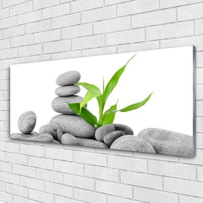 Quadro de vidro Arte com Folhas e Pedras