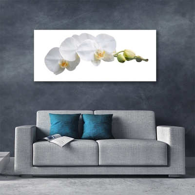 Quadro de vidro Flores Planta Natureza