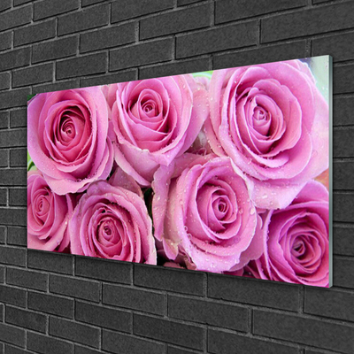 Quadro de vidro Planta de flores rosas
