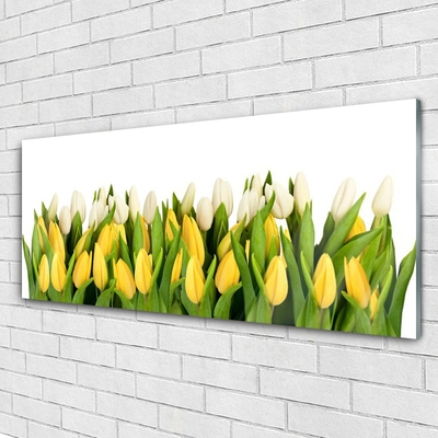 Pintura em vidro Tulipas Flores Planta