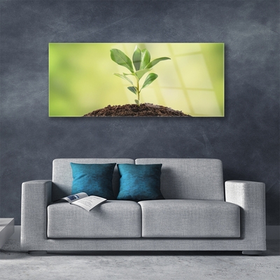 Quadro de vidro Crescimento de plantas terrestres