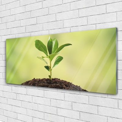 Quadro de vidro Crescimento de plantas terrestres