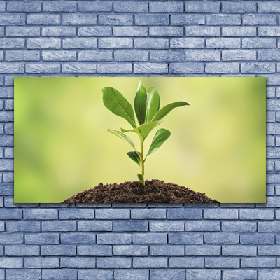 Quadro de vidro Crescimento de plantas terrestres