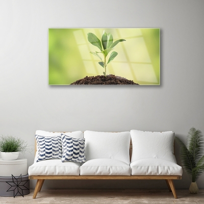 Quadro de vidro Crescimento de plantas terrestres