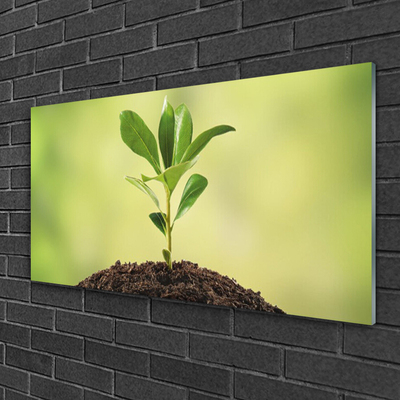 Quadro de vidro Crescimento de plantas terrestres