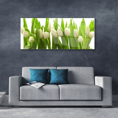 Quadro de vidro Tulipas Flores Planta
