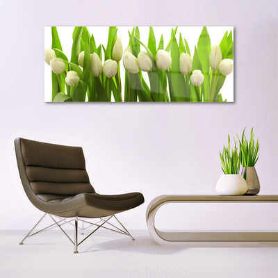 Quadro de vidro Tulipas Flores Planta