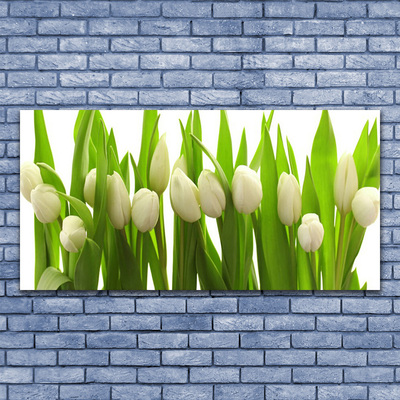 Quadro de vidro Tulipas Flores Planta