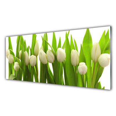 Quadro de vidro Tulipas Flores Planta