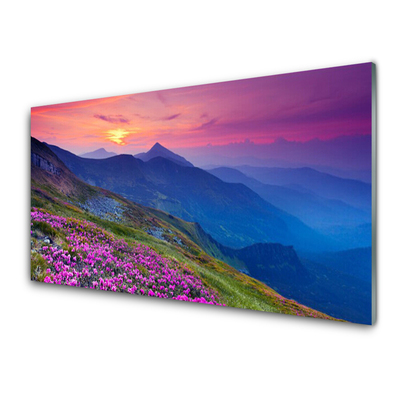 Pintura em vidro Montanhas Prado Flores Paisagem