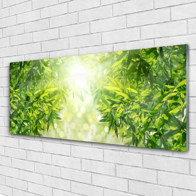 Pintura em vidro Folhas Natureza Planta