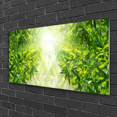 Pintura em vidro Folhas Natureza Planta