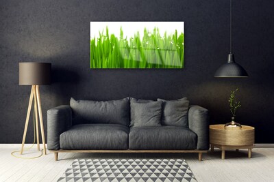 Quadro de vidro Grama Natureza Planta