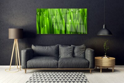 Pintura em vidro Grama Natureza Planta