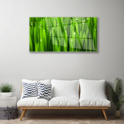 Pintura em vidro Grama Natureza Planta
