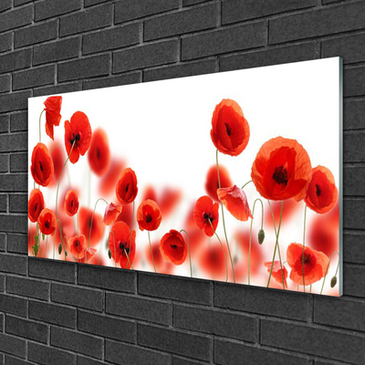 Quadro de vidro Papoulas Plantam Natureza