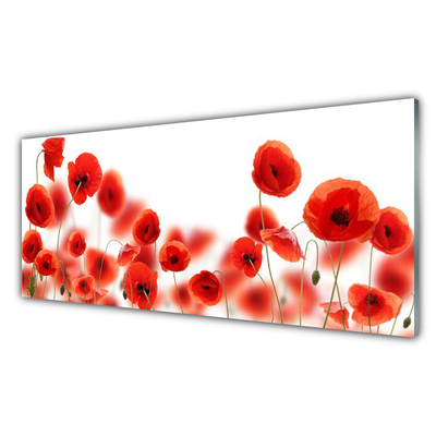 Quadro de vidro Papoulas Plantam Natureza