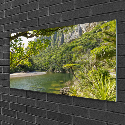 Quadro de vidro Lago Natura