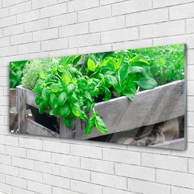 Quadro de vidro Folhas Natureza Planta