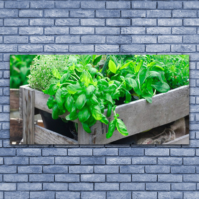 Quadro de vidro Folhas Natureza Planta