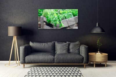 Quadro de vidro Folhas Natureza Planta