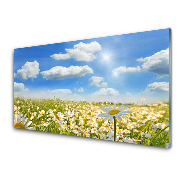Quadro de vidro Natureza do Prado Daisy