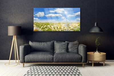 Quadro de vidro Natureza do Prado Daisy