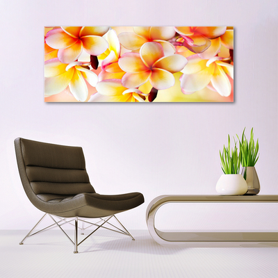 Quadro de vidro Flores Planta Natureza