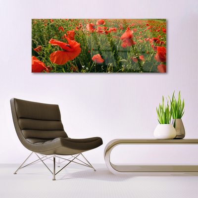 Quadro de vidro Papoulas Plantam Natureza